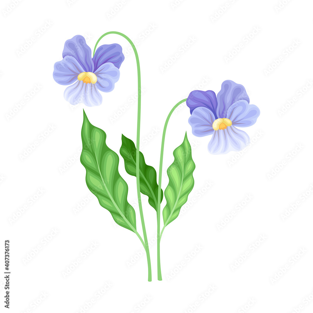 Blue Flowers on Stem or Stalk as Meadow or Field Plant Vector Illustration Blue Flowers on Stem or Stalk as Meadow or Field Plant Vector Illustration