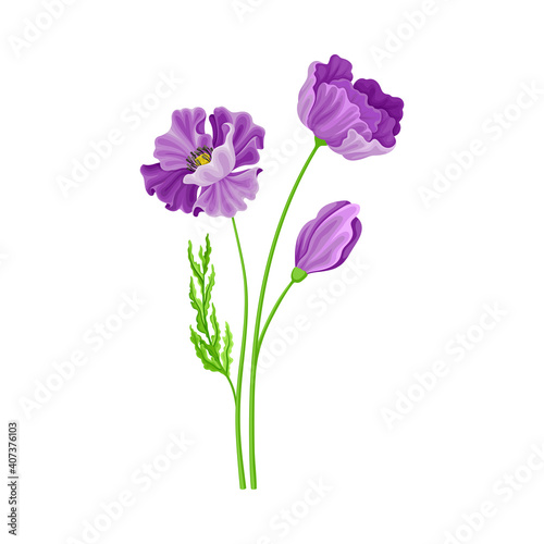 Purple Flower on Stem or Stalk as Meadow or Field Plant Vector Illustration