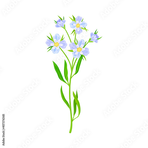 Blue Flowers on Stem or Stalk as Meadow or Field Plant Vector Illustration