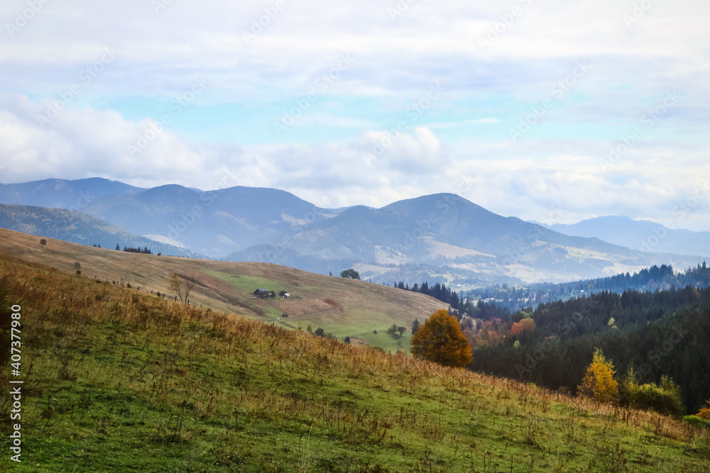 Naklejka premium Beautiful mountain landscape with conifer forest and green hills
