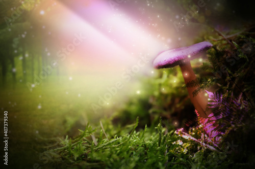 Принти на полотні Fantasy world. Mushroom lit by magic light in enchanted forest