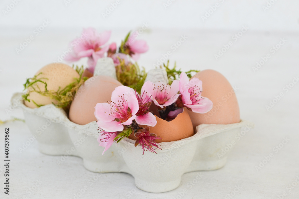 Spring flowers in egg shells on white background. Easter decoration. Copy space. Spring flowers in egg shells on white background. Easter decoration. Copy space.