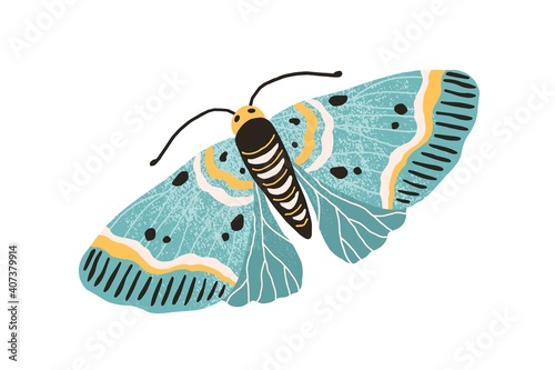 Hand drawn colored elegant flying moth. Gorgeous and beautiful butterfly with pastel wings and antennae isolated on white background. Colorful flat textured vector illustration