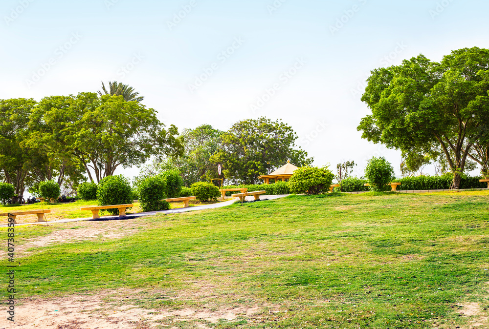 Fototapeta premium Beautiful Green Leaves background in sunlight