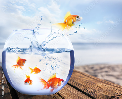 Goldfish jumping out of water and beautiful seascape on background