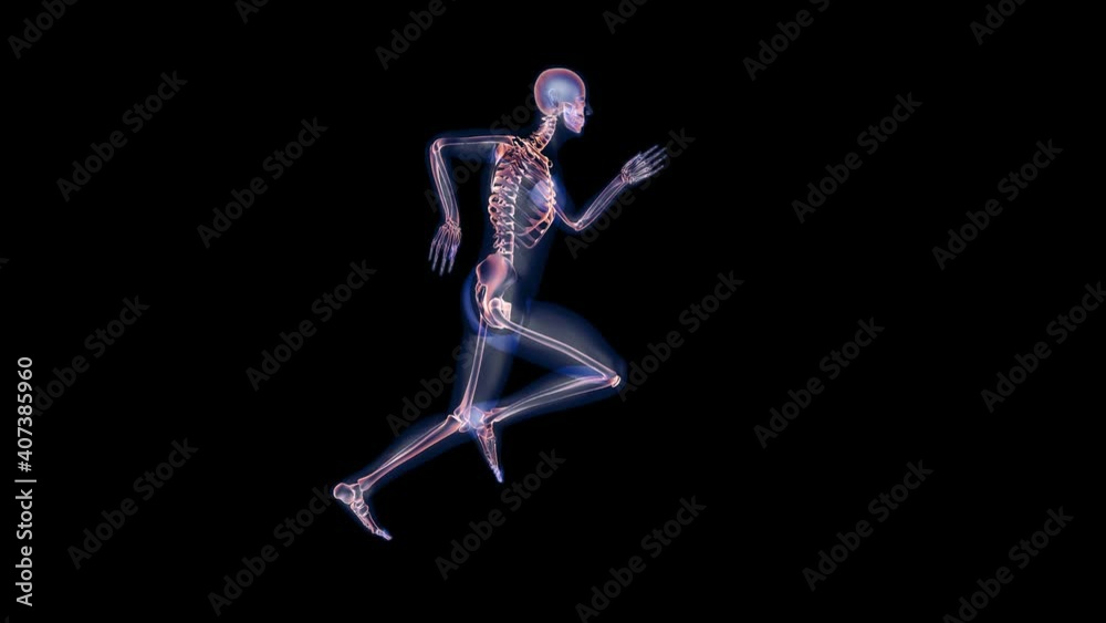 Athlete running seamless loop, x-ray render, Alpha Channel Athlete running seamless loop, x-ray render, Alpha Channel