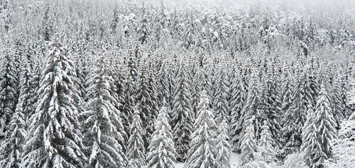 Remontées mécaniques fermées pour cause de COVID à Villard De Lans  mais activités Ski de Randonnée ou Ski de Fond ouvertes photo
