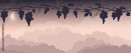 Landscape with bunches of grapes and clouds at sunset. Vector illustration, narrow background, starry night in the vineyard. EPS 10.