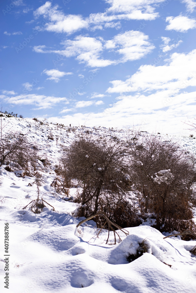 Obraz premium landscape with snow. the relief hilly snow surface is shot in close-up from below.