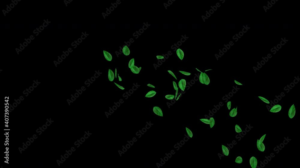 Arc Flying Leaves Arc Flying Leaves