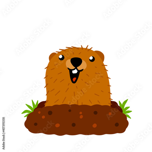 Groundhog Day. Funny marmot crawled out of earthen hole. Cute character of February holiday. Animals of forest rodent with brown skin