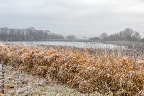 Fototapeta Naklejka Na Ścianę i Meble -  beautiful winter landscape, with frozen pond covered with snow. Central european countryside. Czech Republic, Vysocina Highland region, Europe