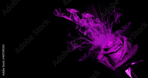 Violate color rose flower with smoke on balck backgound