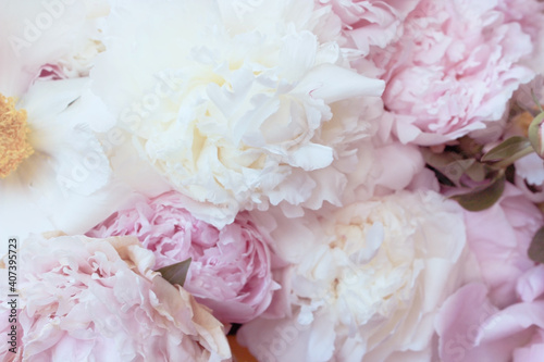 Bouquet of pink and white peony flowers
