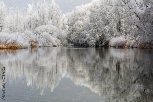 Landscape of the Órbigo River in winter with the trees covered with frost. Paulón Bridge, León, Spain.