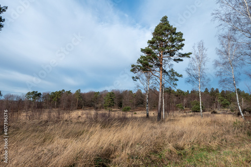 Das Naturschutzgebiet Schlangenberg der Stadt Stolberg Rhld. - Breiniger Berg photo