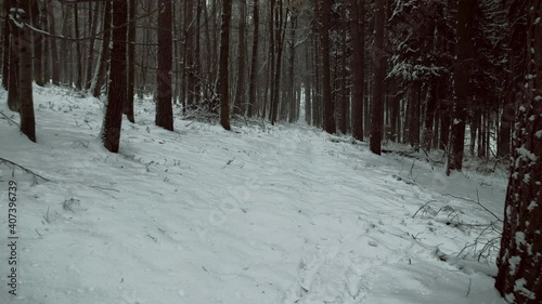 Winter virtual walk through forest covered in snow. POV shot on a gimbal. Natural background. 4K resolution High quality sounds of crunching footsteps and forest ambience.