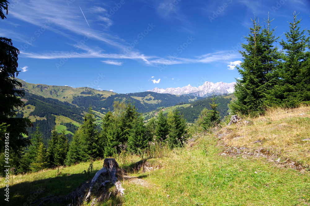 Imposante Gebirgslandschaft mit bewaldeten Berge und Hochgebirge im Hintergrund unter blauem Himmel