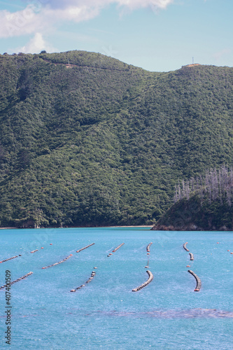 New Zealand Marlborough Sounds Cook Straight crossing in summer in February 2020 photo