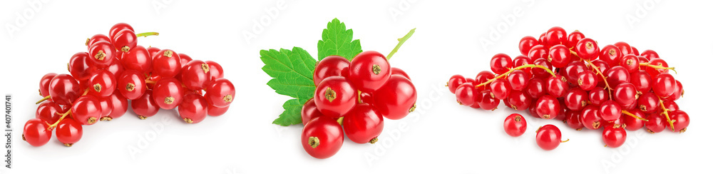 Red currant berries with leaf isolated on white background. Set or collection