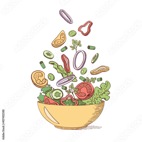 Green fresh vegetable salad in outline sketch style. Organic farm healthy food. Vegan, vegetarian, dietary, vitamin dish. Isolated vector illustrations.
