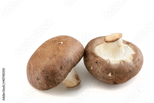 Champignon.Royal mushroom champignons, close-up, isolated on a white background.