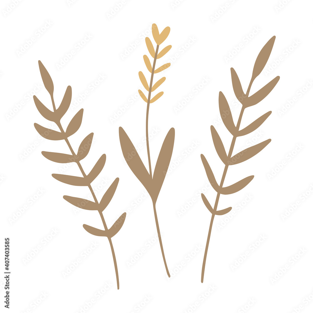 Ears of Wheat. Hand drawn wheat ears, oat, rye or barley branch. Harvest clipart. Vector design element, icon, symbol. Ears of Wheat. Hand drawn wheat ears, oat, rye or barley branch. Harvest clipart. Vector design element, icon, symbol.