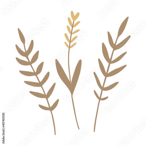 Ears of Wheat. Hand drawn wheat ears, oat, rye or barley branch. Harvest clipart. Vector design element, icon, symbol.