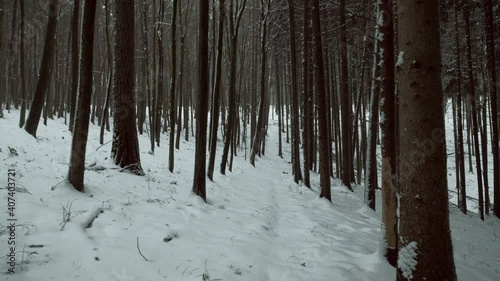 Winter virtual walk through forest covered in snow. POV shot on a gimbal. Natural background. 4K resolution High quality sounds of crunching footsteps and forest ambience.