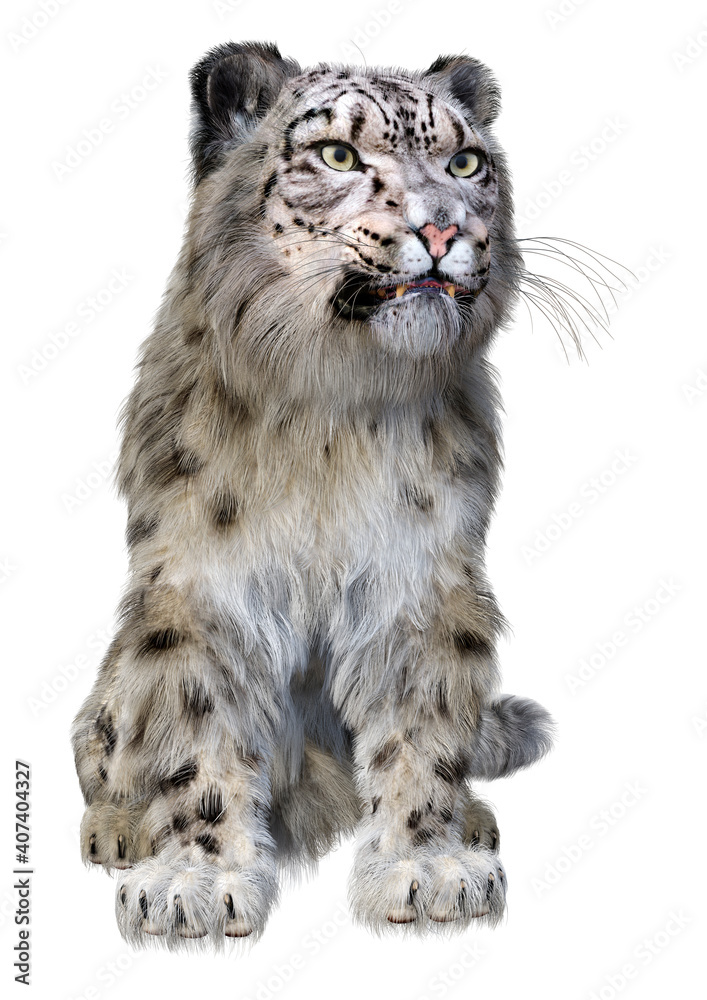 Fototapeta premium 3D Rendering Snow Leopard on White