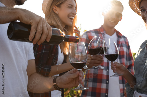 Tableau sur toile Friends tasting red wine in vineyard on sunny day, closeup