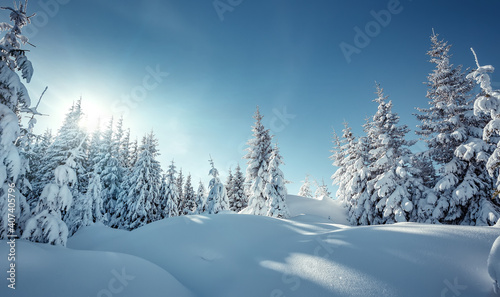 Wonderful Winter Landscape. Awesome Alpine Highlands in Sunny Day. Christmas holyday concept. Winter mountain forest. Snowy mountains and perfect blue sky. Amazing Nature background. postcard