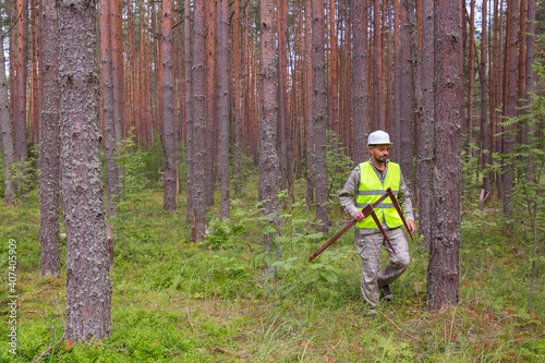 Forest worker works in the forest with measuring tools.