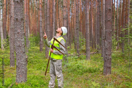 Forest worker works in the forest with measuring tools.