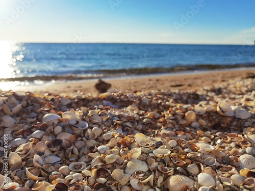 beach and sea