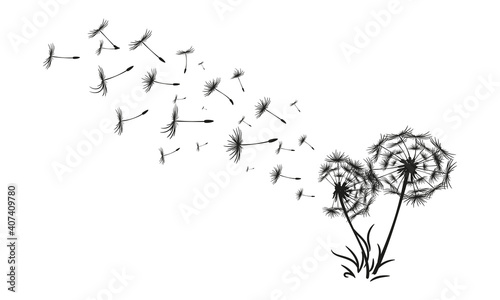 Abstract black dandelion  dandelion with flying seeds illustration