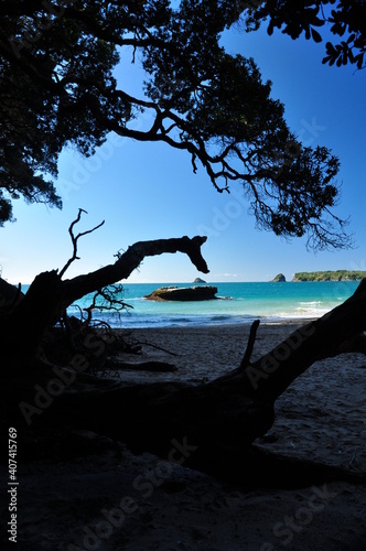 Strand mit Silhouette eines Baumes