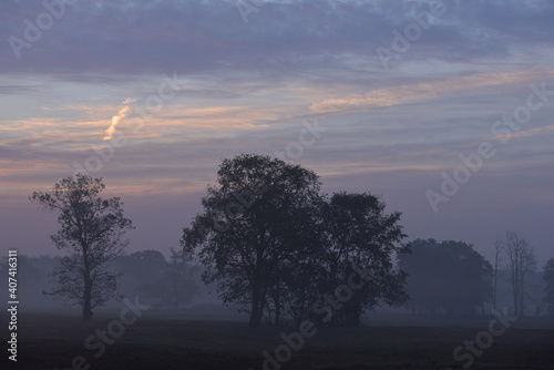 Landscape of meadow with trees in the fog at sunrise in Czmoniec  Poland