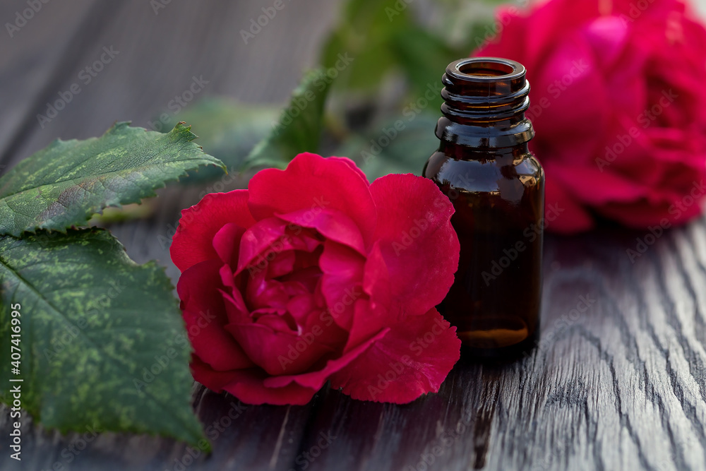 Essential oils concept. Flowers and herbs in glass bottles Essential oils concept. Flowers and herbs in glass bottles
