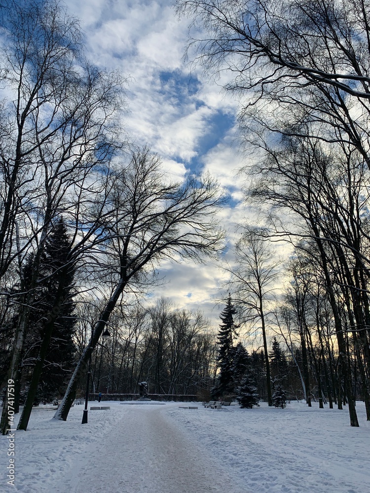Park in the winter time Park in the winter time