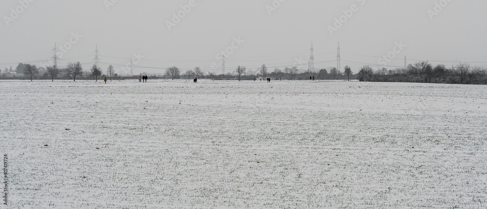 Winter panorama, snow-covered agricultural field, gray sky background