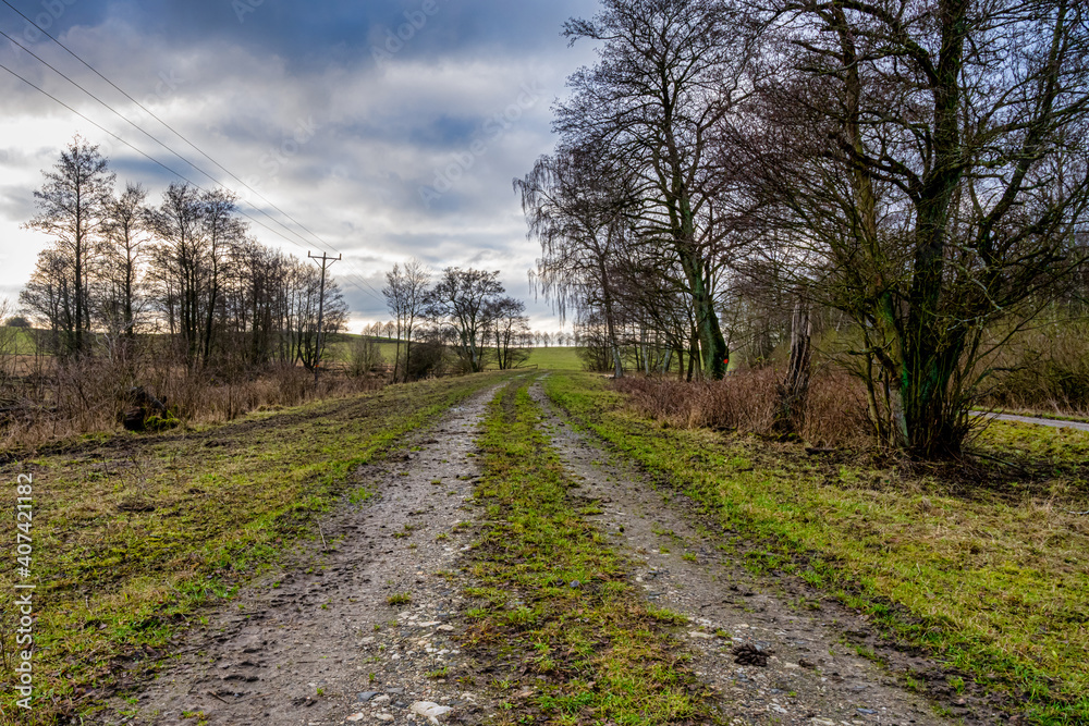 A road and trees on a meadow with an amazing sky in the background. Picture from Lund, southern Sweden
