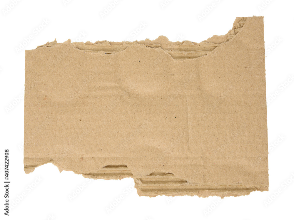 Fototapeta premium torn piece of corrugated cardboard isolated on white background