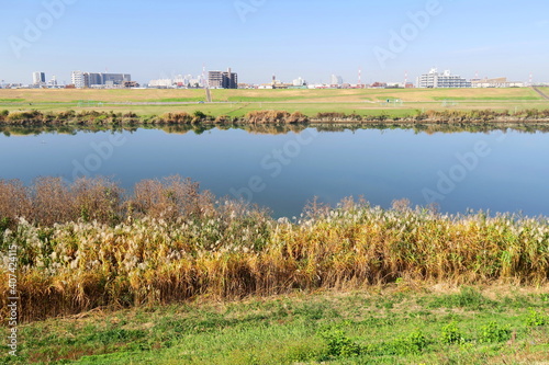 土手から見る枯れた荻のある秋の江戸川風景
