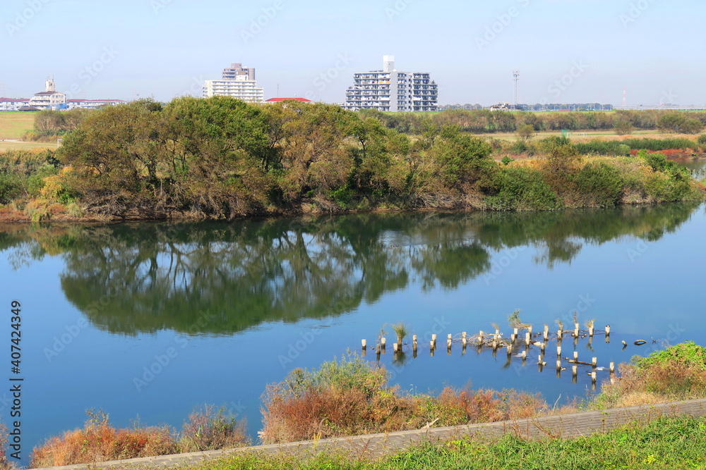 Fototapeta premium 土手から見る秋の江戸川風景