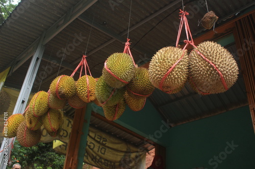 photo of delicious durian fruit from Indonesia