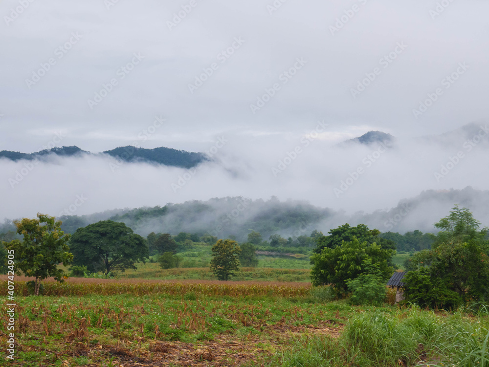 Beautiful fog landscape in the mountains