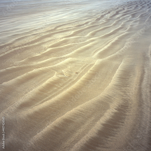 The beach at Essaouira  Morocco