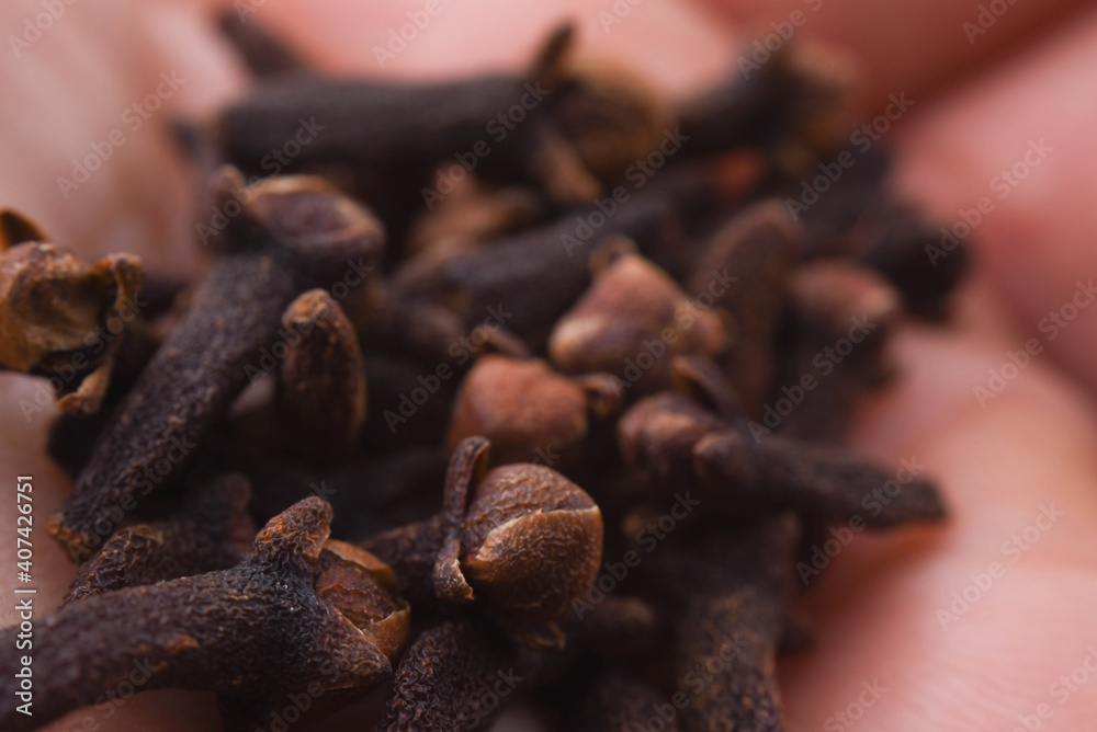 Obraz premium cloves on hand in macro