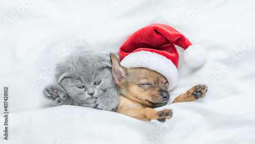 Funny Toy terrier puppy wearing red santa's hat and gray kitten sleep together under a white blanket on a bed at home. Top down view